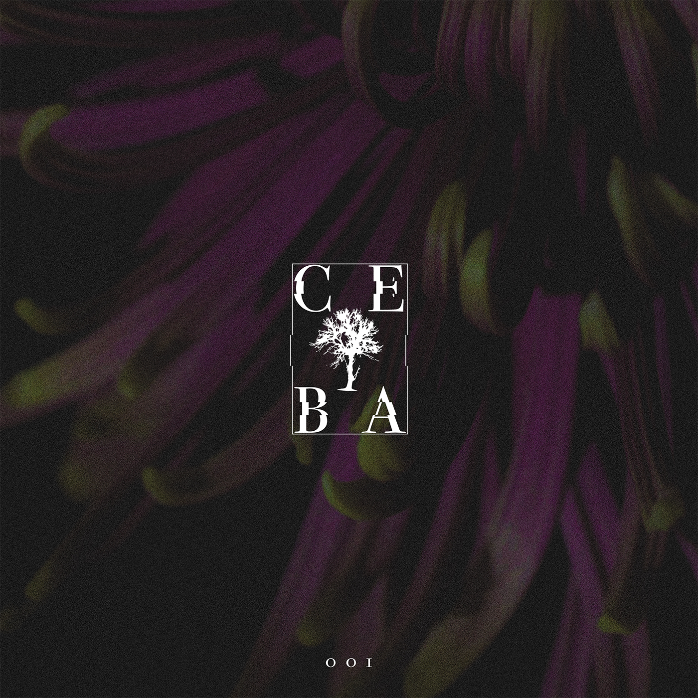 Ceiba