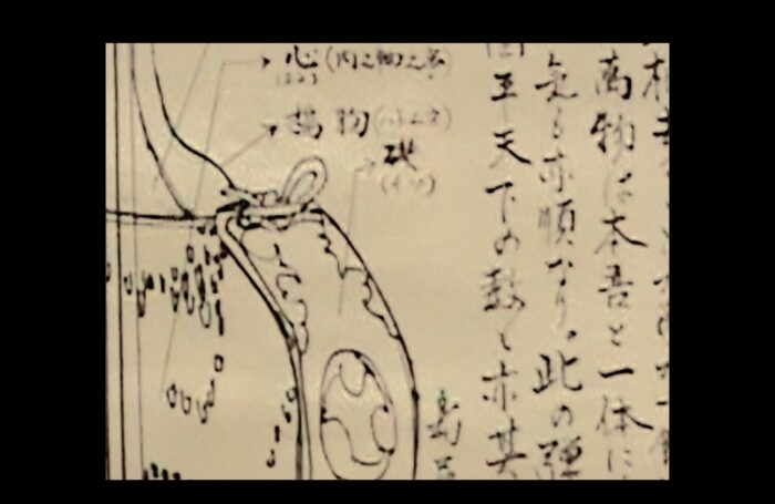 CONSCIOUSNESS GIAPPONE