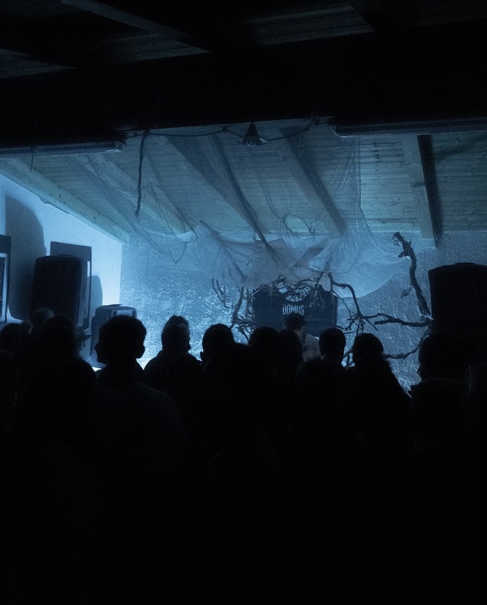 DOMUS APS PARTY
