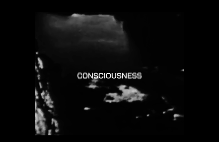 Consciousness estratto