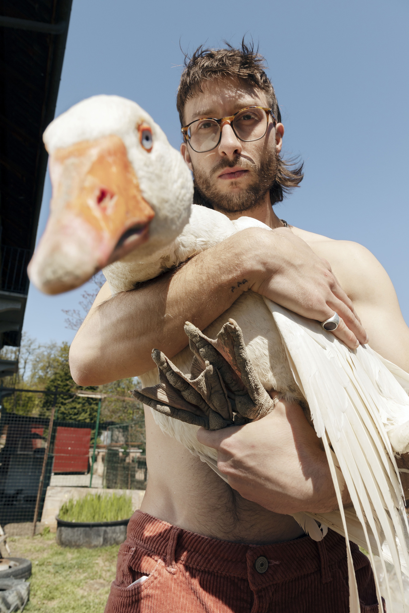John Bringwolves