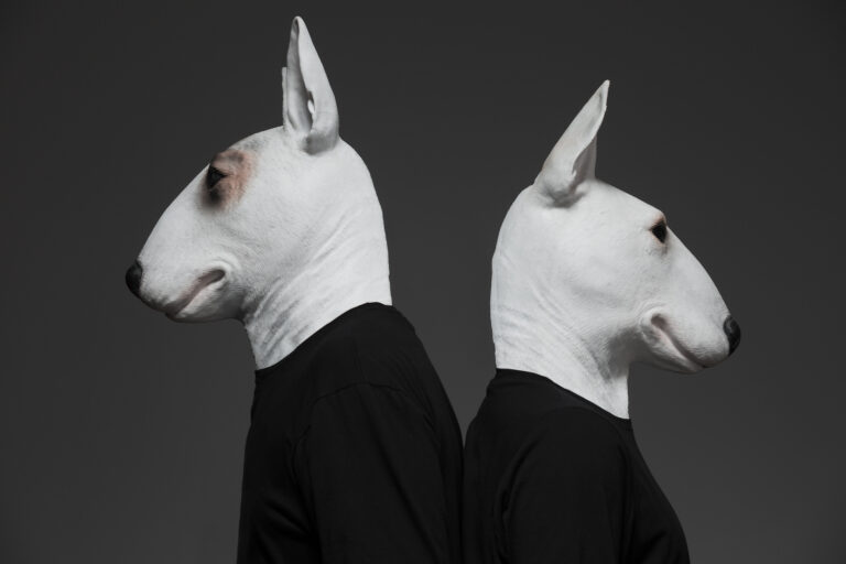 I Neverdogs parlano apertamente del nuovo progetto “Ibiza”