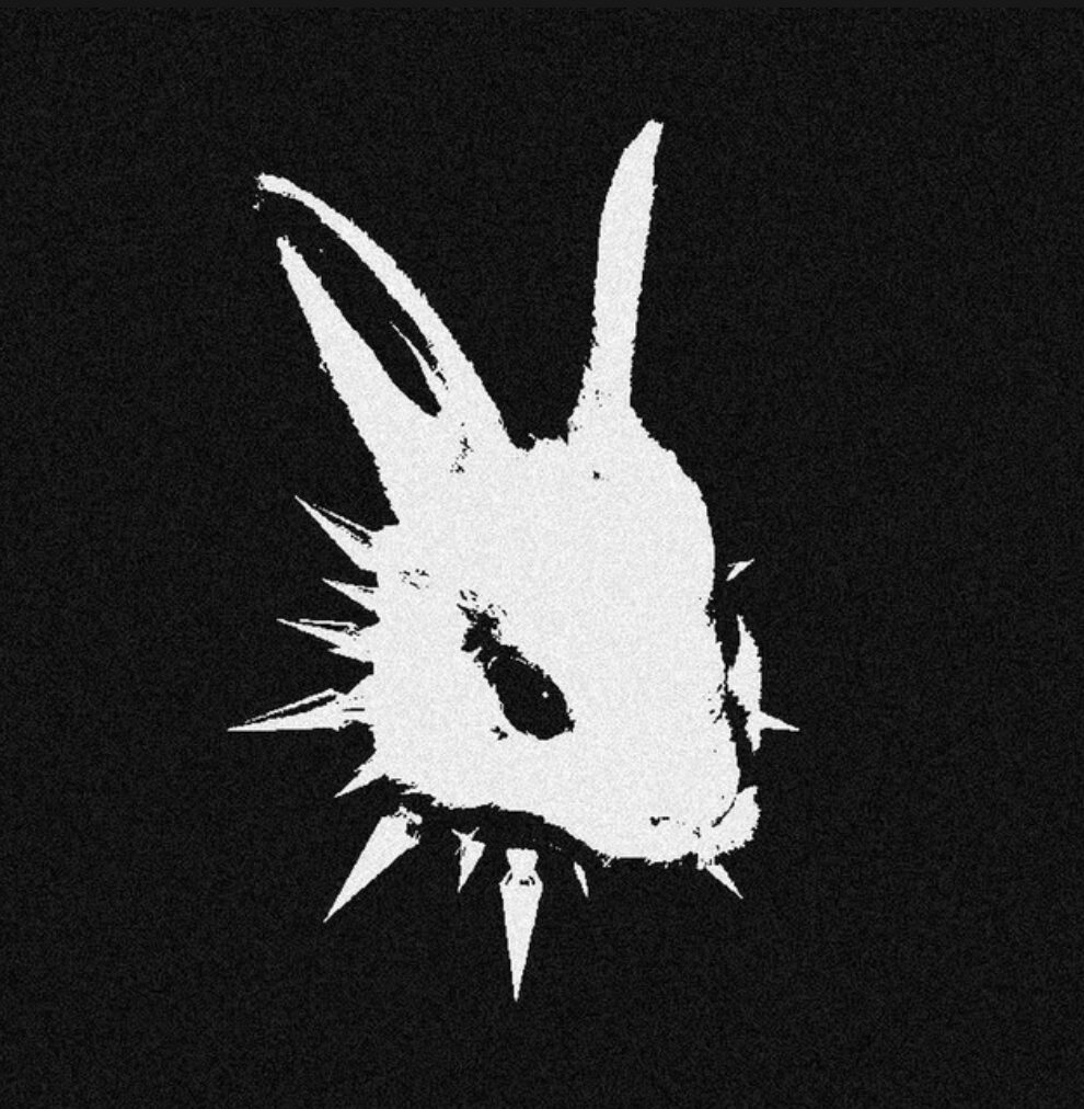 Rabbit Notyka