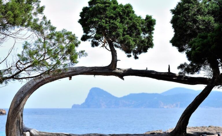 Remedy State: a Ibiza apre la clinica per i “malati” della dance