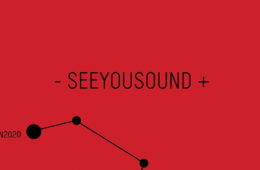 SEEYOUSOUND Torino Music Film Festival