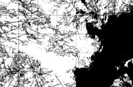 Terraforma