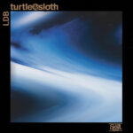 Turtle & Sloth – LDB