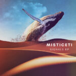 Misticeti – <strong>Hybrid Feelings</strong>