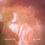 Rushkeys – Bloom
