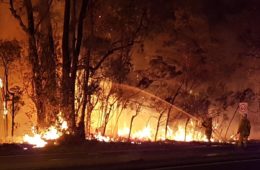 incendi in australia