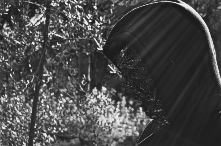 infestazioni soniche 2017