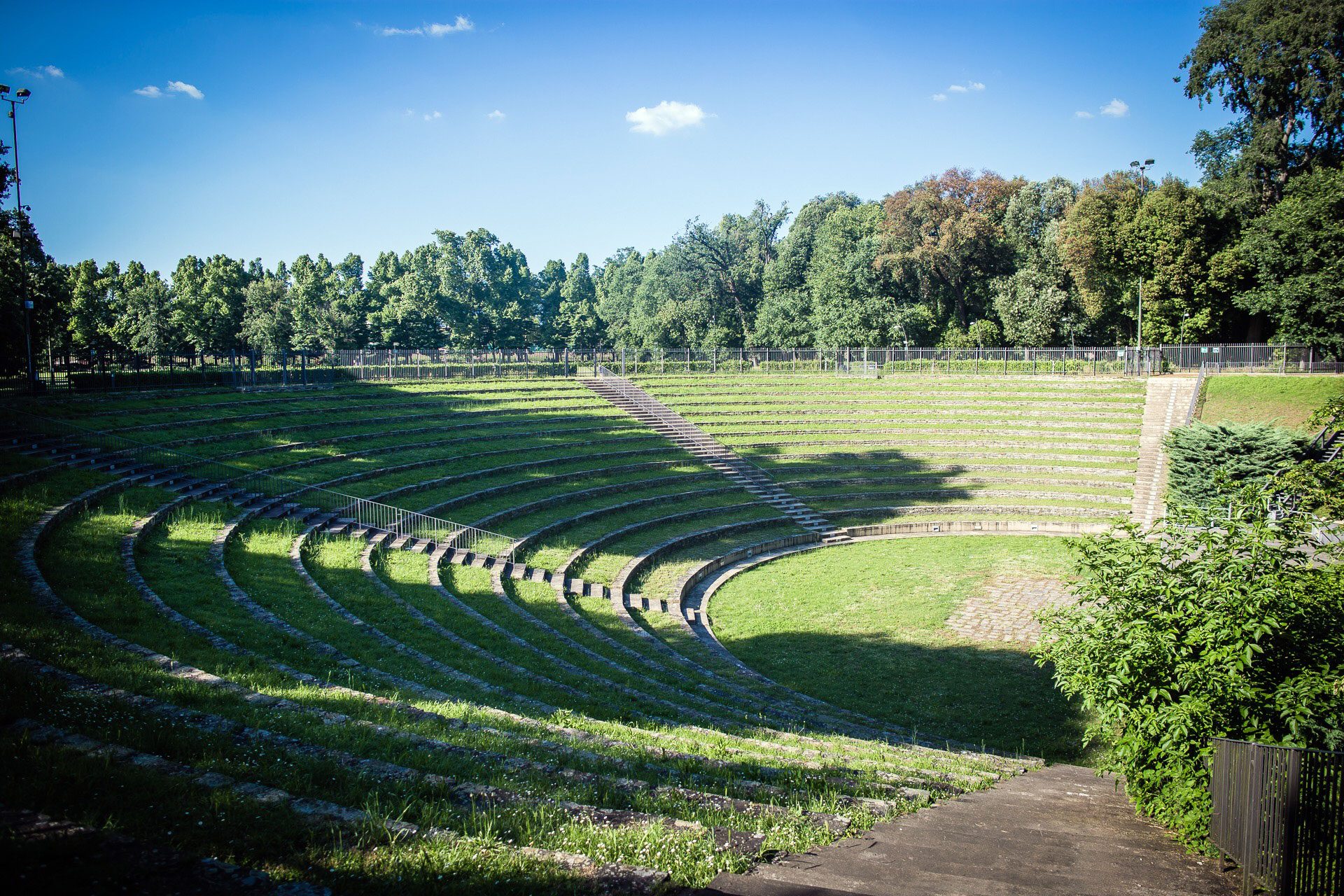 lattexplus experience