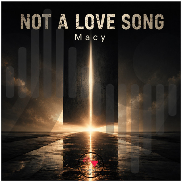 Copertina di Macy - Not a Love Song - Original Mix