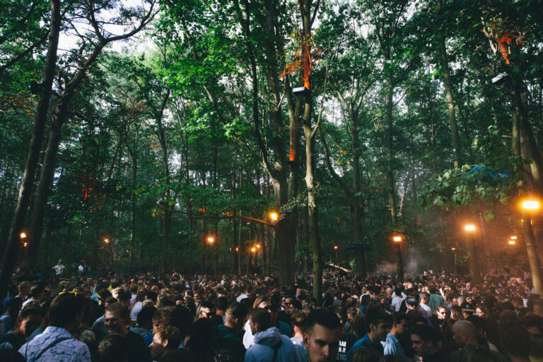 Draaimolen Festival 2024: un viaggio immersivo tra beat, natura e creatività