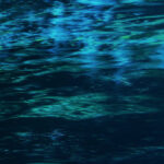 StarAV – ocean / wastebag