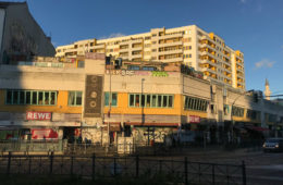 paloma bar