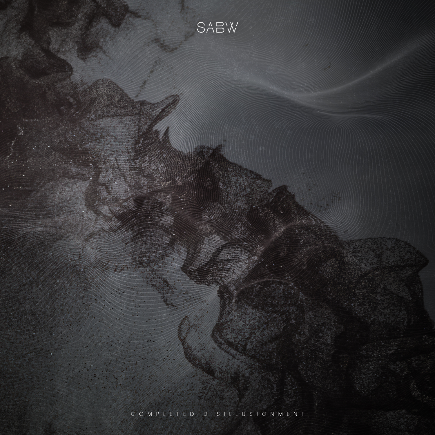 SABW – You Can’t Take This Away From Me