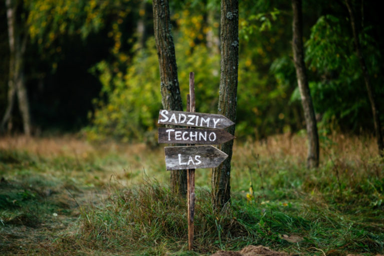 Techno Forest: in Polonia c’è una foresta piantata dai raver