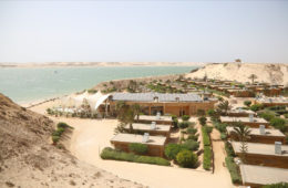 Oasis "Into the Wild"