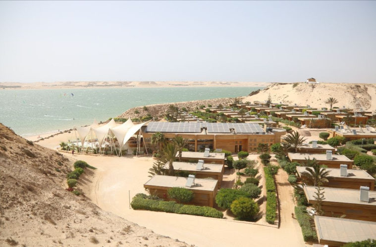 Oasis "Into the Wild"